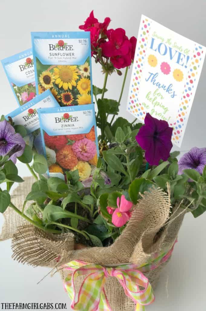 Spread some love and cheer with this Sowing The Seeds Burlap Planter And Printable. It's a perfect gift for Mother's Day or Teacher Appreciation.
