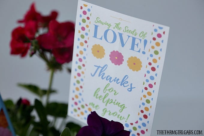 Spread some love and cheer with this Sowing The Seeds Burlap Planter And Printable. It's a perfect gift for Mother's Day or Teacher Appreciation. #GiftIdea