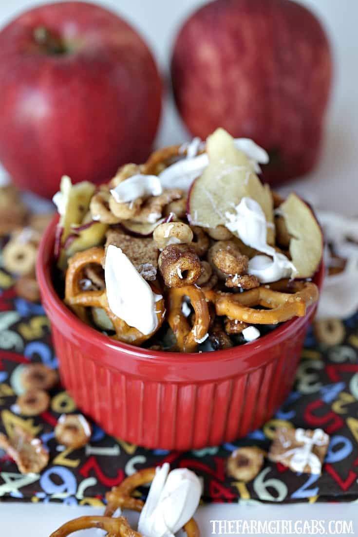 Celebrate the flavors of fall with this yummy Honey Nut Cheerios™ Apple Pie Snack Mix. It’s the perfect snack for your kids’ school lunch. #Ad #Costco