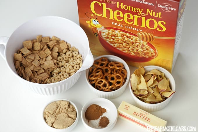 Celebrate the flavors of fall with this yummy Honey Nut Cheerios™ Apple Pie Snack Mix. It’s the perfect snack for your kids’ school lunch.