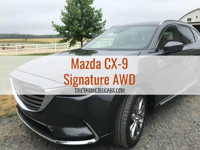 Cruising Into Summer In The 2017 Mazda CX-9. #DriveMazda #AD