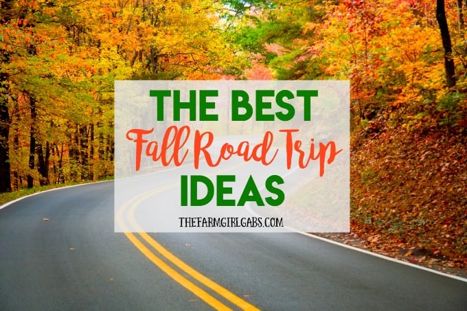 Planning to hit the road this fall and do some sightseeing? Check out these Best Fall Road Trip Ideas for inspiration.