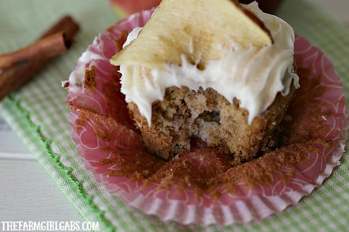These easy Apple Spice Cupcakes are full of sweet apples and lots of spice. They are the perfect fall treat.
