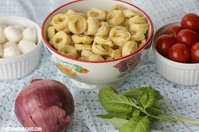 Turn pizza night into party night with this delicious Caprese Tortellini Salad. This recipe is the perfect quick side dish for a weeknight dinner or party.