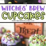 Double, double, toil and trouble. These Witches’ Brew Cupcakes are the perfect Halloween treat. These bewitching cupcakes are perfect for a Halloween party. Save this fun Halloween cupcake recipe so you can make it for your family. They will go batty over these Cauldron cupcakes. Share this fun Halloween recipe with friends and family.