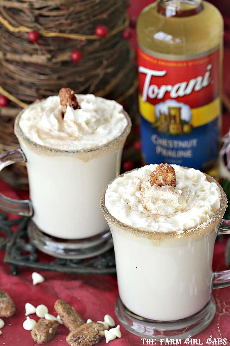 Warm up your White Christmas with a mug of Chestnut Praline White Hot Chocolate. Save money by making your own drink recipes at home using Torani Syrups!