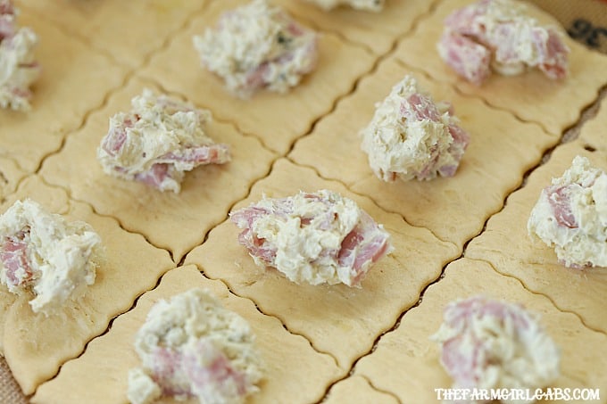 Soft and buttery crescent rolls are filled with Ham And Gorgonzola to create a delicious appetizer. These Ham And Gorgonzola Bites are perfect for any party!