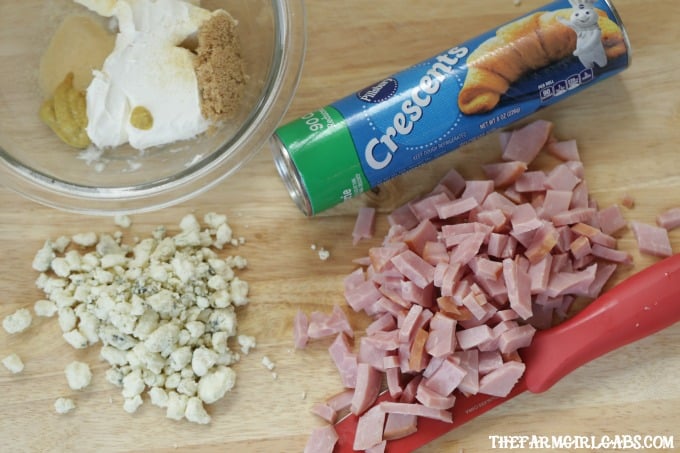 Soft and buttery crescent rolls are filled with Ham And Gorgonzola to create a delicious appetizer. These Ham And Gorgonzola Bites are perfect for any party!