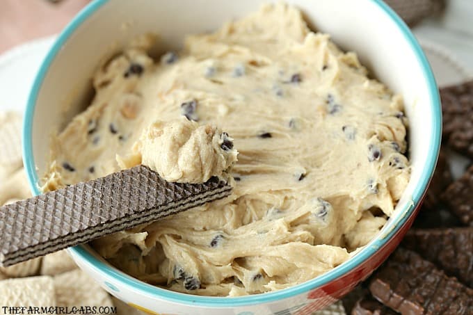 Serve this yummy Peanut Butter Chocolate Chip Cookie Dip at your next party. It's perfect for dessert. #Ad #LoackerLove