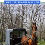 From shopping to sightseeing, there is so much to do in Lancaster, PA. Here are my favorite Unique Places To Shop In Lancaster County, PA. Lancaster, Pennsylvania is one of my favorite places to visit. Home to the Pennsylvania Dutch, or Amish, this county is peaceful, quint and full of lots of wonderful shopping experiences. #lancasterpa #familytravel #pennsylvania #pennsylvaniadutch