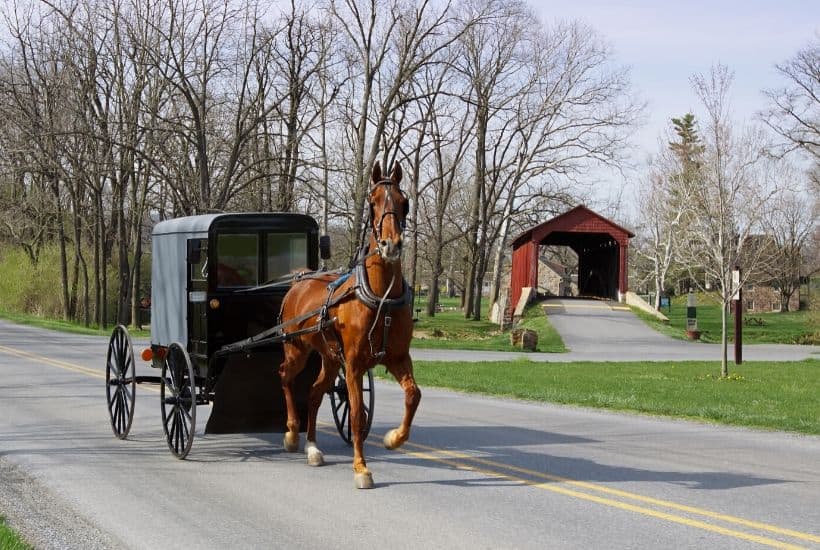 From shopping to sightseeing, there is so much to do in Lancaster, PA. Here are my favorite Unique Places To Shop In Lancaster County, PA. Lancaster, Pennsylvania is one of my favorite places to visit. Home to the Pennsylvania Dutch, or Amish, this county is peaceful, quint and full of lots of wonderful shopping experiences. #lancasterpa #familytravel #pennsylvania #pennsylvaniadutch