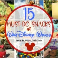15 Must Eat Snacks At Walt Disney World