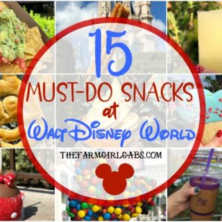 Eat your way around the happiest place on earth and try a few of these 15 Must Eat Snacks At Walt Disney World.