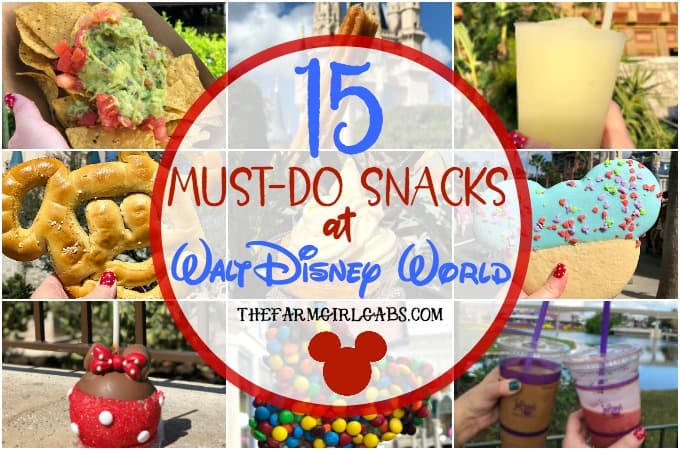 15-must-eat-snacks-at-walt-disney-world-the-farm-girl-gabs