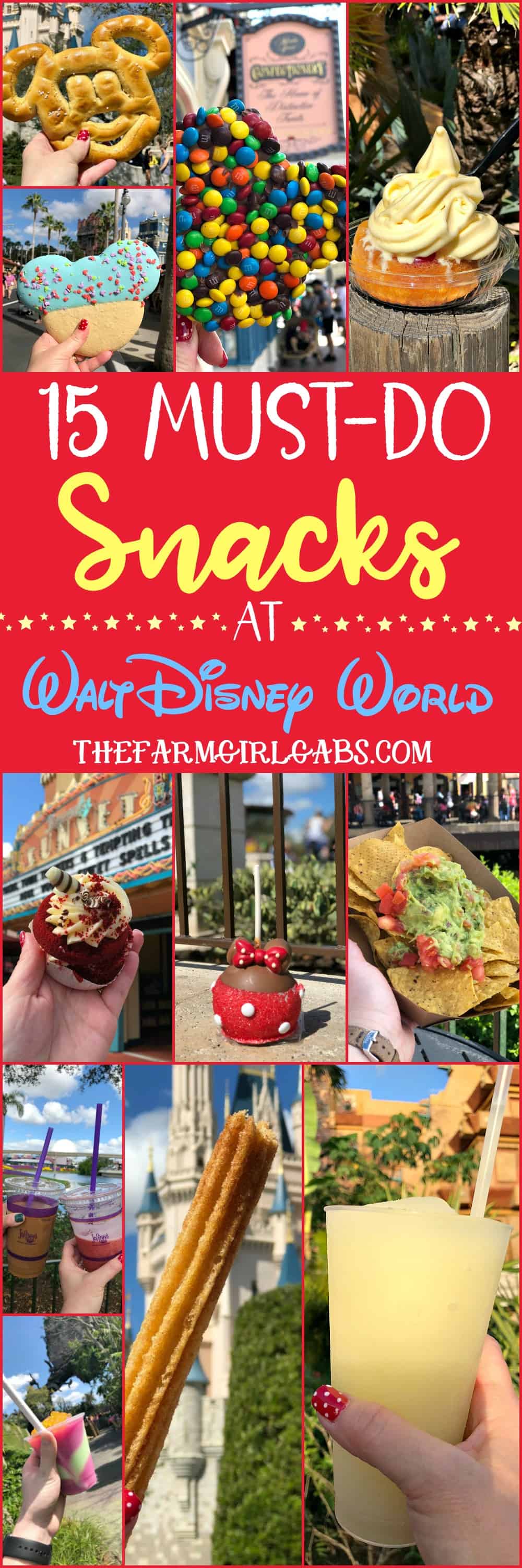 15 Must Eat Snacks At Walt Disney World - The Farm Girl Gabs®