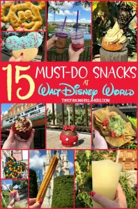 Eat your way around the happiest place on earth and try a few of these 15 Must Eat Snacks At Walt Disney World. #WaltDisneyWorld #DisneySMMC #Disney #DisneyFood #DisneySnacks
