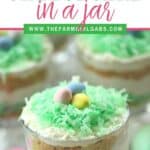 These colorful No Bake Coconut Cheesecake Parfaits are a sweet way to welcome spring. They are a perfect Easter dessert recipe for your holiday celebration. This no-bake dessert recipe can be served in mason jars or parfait dishes. This easy holiday dessert recipe can also be made ahead of time. #nobakedessert #masonjarrecipe #easterdessert #cuteeasterdessert