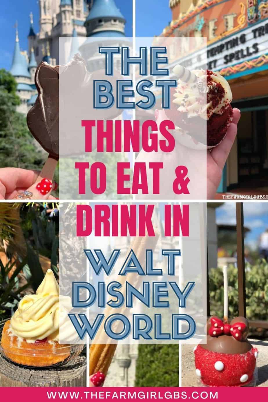 Must Eat Snacks At Walt Disney World - The Farm Girl Gabs®