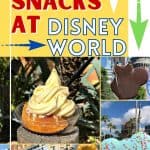 Eat your way around the happiest place on earth and try a few of these Must Eat Snacks At Walt Disney World. Disney snacks are the best.