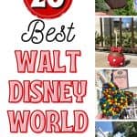 Eat your way around the happiest place on earth and try a few of these Must Eat Snacks At Walt Disney World. Disney snacks are the best.