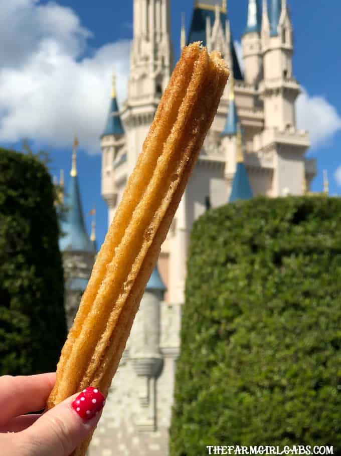 Eat your way around the happiest place on earth and try a few of these 15 Must Eat Snacks At Walt Disney World.