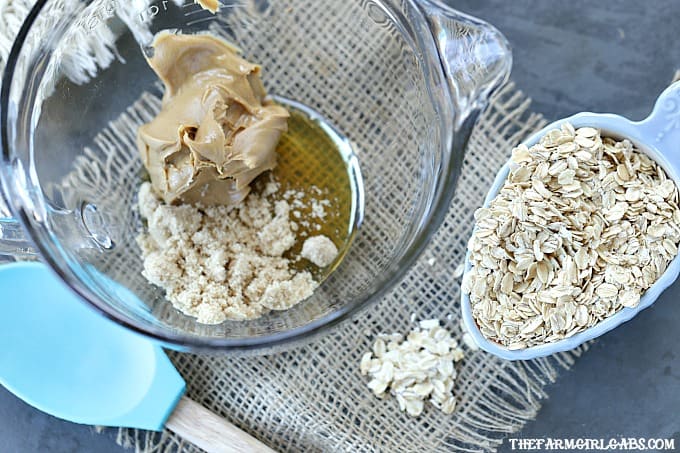 For breakfast or a quick snack, this easy Peanut Butter Chocolate Chip Granola recipe will have everyone begging for more!