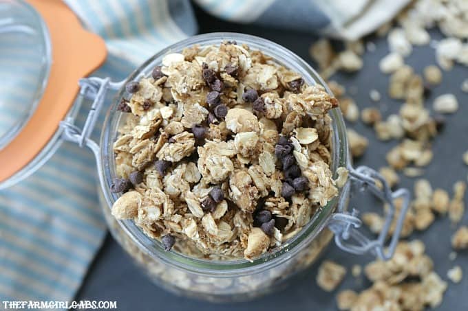 For breakfast or a quick snack, this easy Peanut Butter Chocolate Chip Granola recipe will have everyone begging for more!
