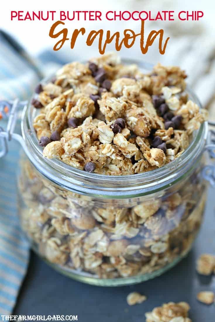 For breakfast or a quick snack, this easy Peanut Butter Chocolate Chip Granola recipe will have everyone begging for more! #granola #chocolaterecipe #granolabars #breakfast