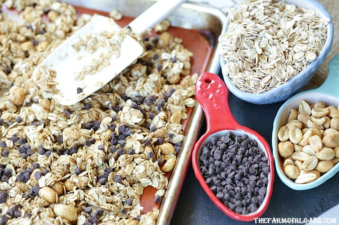 For breakfast or a quick snack, this easy Peanut Butter Chocolate Chip Granola recipe will have everyone begging for more!