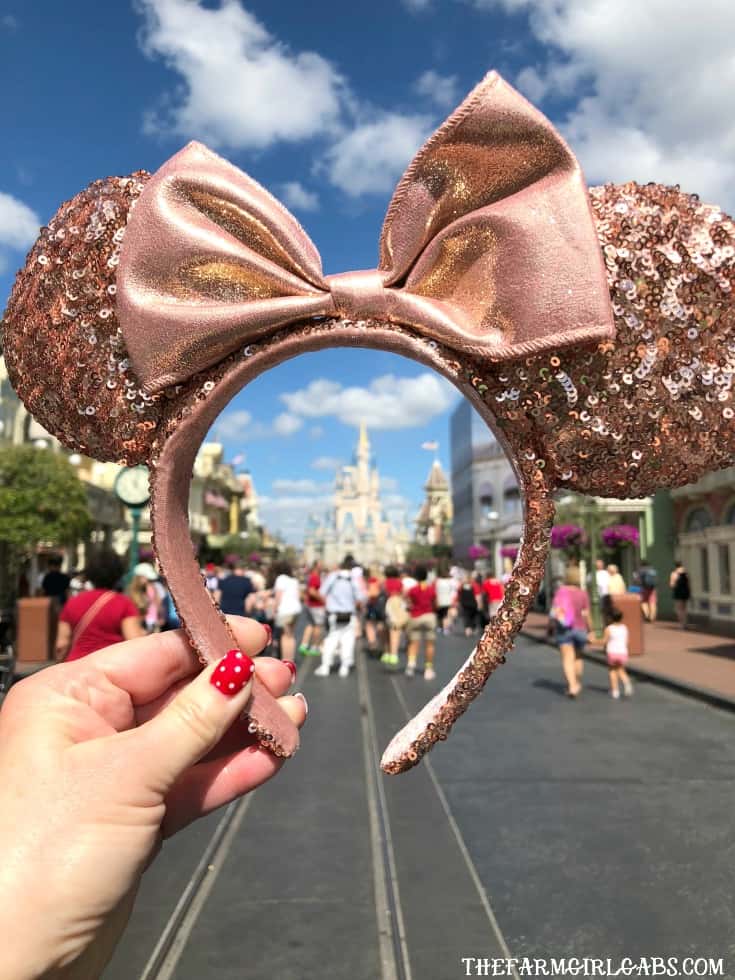 Ready for the ultimate Disney Photo Bucket List? I gathered some Disney photograph inspiration with these 101 Photos To Take At Walt Disney World. #WaltDisneyWorld #Disneyland #Disney #FaimilyTravel #Disneytravel #Disneyvacation #travelideas