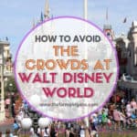 How to Avoid the Crowds At Walt Disney World