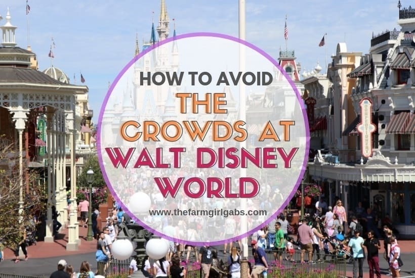 A packed Disney Park can sometimes lead to an unmagical experience. Here is How to Avoid the Crowds At Walt Disney World. #WaltDisneyWorld #DisneySide #FamilyTravel #Disney #Disneyland #DisneyTips
