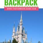 Tips and tricks on how to Pack The Perfect Walt Disney World Backpack. These helpful Disney Packing Tips will make your Disney family vacation less stressful and fun. #DisneyWorld #disneyhacks #disneypackingtips