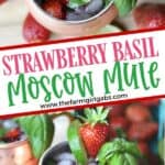 This simple Strawberry Basil Moscow Mule is a refreshing drink recipe. Grab your copper mugs and make this easy cocktail recipe.