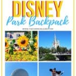 Tips and tricks on how to Pack The Perfect Walt Disney World Backpack. These helpful Disney Packing Tips will make your Disney family vacation less stressful and fun. #DisneyWorld #disneyhacks #disneypackingtips
