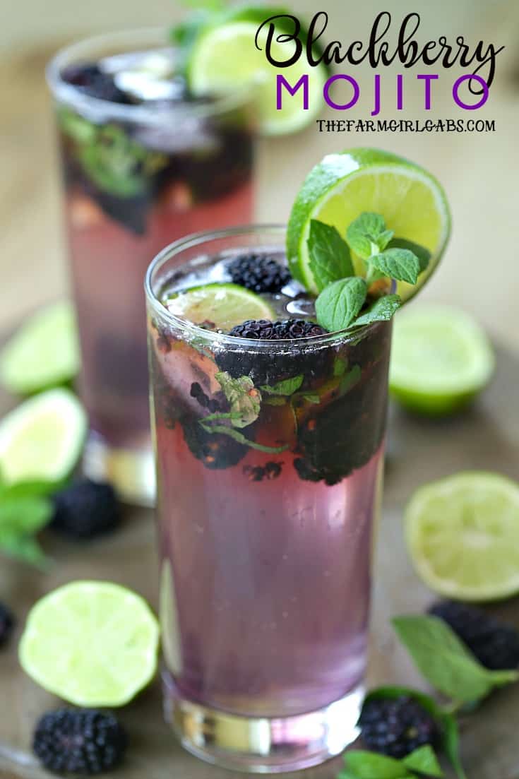 Refreshing Blackberry Mojito Recipe The Farm Girl Gabs®