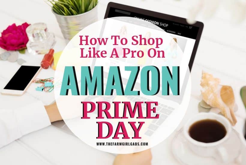 Shop Like A Pro On Amazon Prime Day - The Farm Girl Gabs®