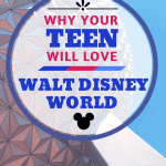 Disney vacations are the definition of family entertainment no matter what our age. Here are a few reasons why teens will love Walt Disney World. #WaltDisneyWorld #Disney #Disneyland #Disneytips #teenagers #teens #famllytravel #parenting