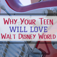 Why Teens Will Love Walt Disney World