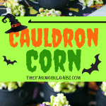 Double, double toil and trouble, Fire burn, and cauldron bubble. Stir up a batch of this ghoulish Cauldron Corn for some Halloween fun. #Halloween #Halloweenparty #HalloweenCandy #Snacks #Popcorn
