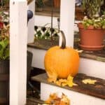 Make your home a show-stopper this fall with these Outdoor Fall Decorating Ideas! Fun ways to decorate your home this fall. These budget-friendly decorating tips will make your home look like a show stopper this fall.