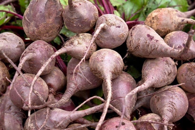 Farmers' Market Tips