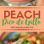 Spice up your summer with this tasty Peach Pico de Gallo recipe. Grab those fresh farmers market peaches and whip up a bowl to snack on. #Peach #PicodeGallo #Salsa #PeachRecipe #Appetizer #Dips #DipRecipe #Farmersmarket