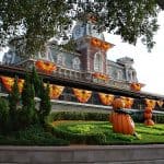 Boo to you and you and you! Get your Halloween on at Walt Disney World. Here are Spooktacular Tips for Mickey's Not So Scary Halloween Party. #waltdisneyworld #disneyland #halloween #mnsshp #disneyprincess #disneyworld #disneyhalloween