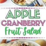 This Apple Cranberry Fruit Salad recipe is the perfect fall dessert. Apples, craisins and pecans pair up to create this delicious creamy fall fruit salad recipe. The salad is tossed in a simple cream cheese and yogurt dressing.
