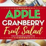 This Apple Cranberry Fruit Salad recipe is the perfect fall dessert. Apples, craisins and pecans pair up to create this delicious creamy fall fruit salad recipe. The salad is tossed in a simple cream cheese and yogurt dressing.