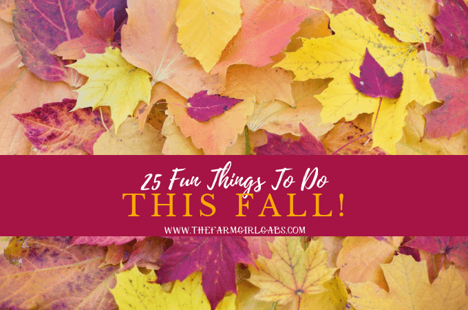 Cooler weather, beautiful colors and pumpkin EVERYTHING, make fall a special time of year. Check out these 25 Fun Things To Do This Fall!