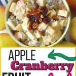 This Apple Cranberry Fruit Salad recipe is the perfect fall dessert. Apples, craisins and pecans pair up to create this delicious creamy fall fruit salad recipe. The salad is tossed in a simple cream cheese and yogurt dressing.