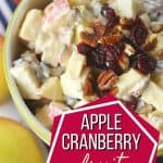This Apple Cranberry Fruit Salad recipe is the perfect fall dessert. Apples, craisins and pecans pair up to create this delicious creamy fall fruit salad recipe. The salad is tossed in a simple cream cheese and yogurt dressing.