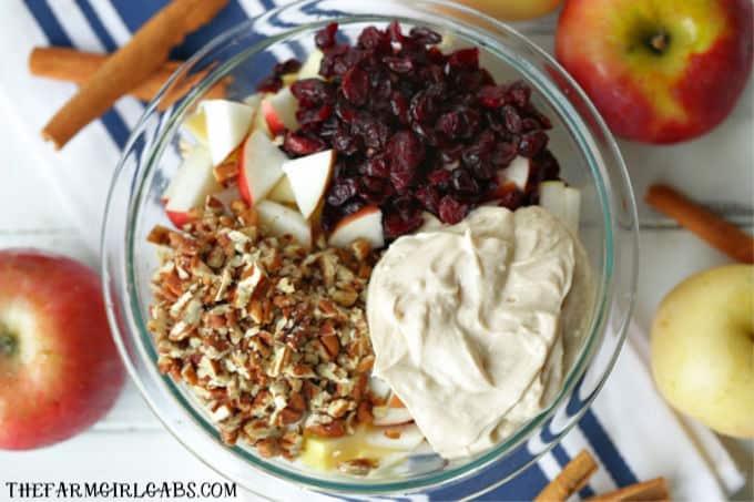 This Apple Cranberry Fruit Salad recipe is the perfect fall dessert. Apples, craisins and pecans pair up to create this delicious creamy fruit salad recipe.